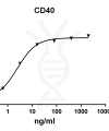 antibody-DME100102 CD40 ELISA Fig1