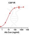 antibody-DME100106 CSF1R ELISA Figure 1