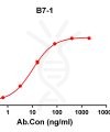 antibody-DME100109 B7 1 EILSA Figure 1