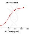 antibody-DME100114 TNFRSF10B ELISA Figure1
