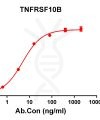 antibody-DME100115 TNFRSF10B ELISA Figure1