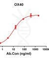 antibody-DME100116 OX40 ELISA Figure1
