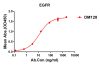 antibody-DME100128 EGFR ELISA Fig1
