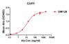 antibody-DME100128 EGFR ELISA Fig1
