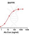 antibody-DME100143 BAFFR ELISA Fig1