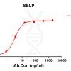 antibody-DME100150 SELP ELISA Fig1
