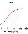 antibody-DME100154 FAP ELISA Fig1