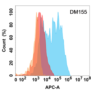 antibody-DME100155 CD171 Flow Fig2
