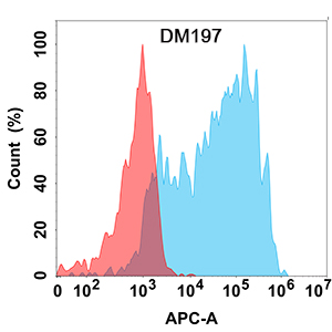 antibody-DME100197 CCR8 Flow Fig1