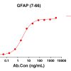 antibody-DME100215 GFAP7 66 ELISA Fig1