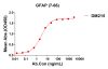 antibody-DME100215 GFAP7 66 ELISA Fig1