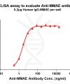 antibody-DME101006 MMAE Fig.1 Elisa 1