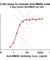 antibody-DME101007 MMAE Fig.1 Elisa 1