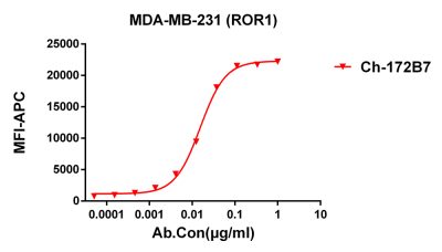 antibody-dmc100253 ror1 fc1