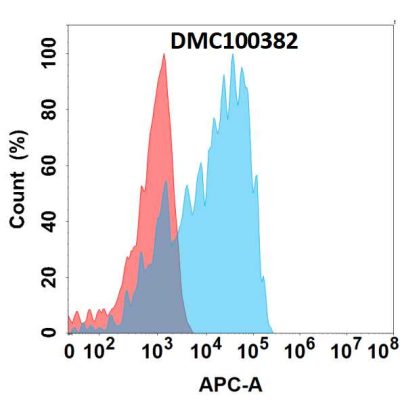 antibody-dmc100382 csf1r fc1