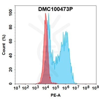 antibody-dmc100473p emcn fc1