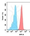 antibody-dmc100637 cdh17 fc1