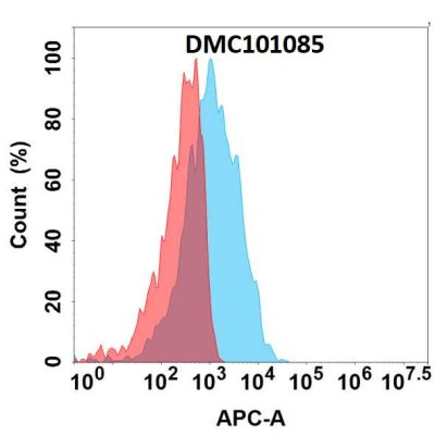 antibody-dmc101085 cd3e fc1