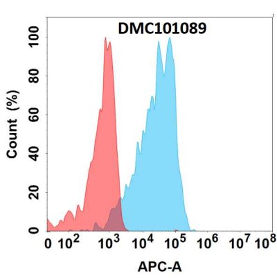antibody-dmc101089 dll3 fc1