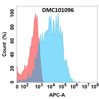 antibody-dmc101096 sez6 fc1