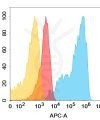 antibody-dmc101226 sema4d fc1