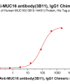 antibody-dmc101291b muc16 elisa1