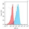 antibody-dmc101403 il12rb1 fc1