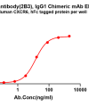 antibody-dmc101533 cxcr6 elisa1