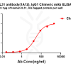 antibody-dmc101687 il31 elisa1