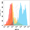 antibody-dmc101767 cldn18.2 fc2