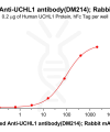 antibody-dme100214b uchl1 elisa1