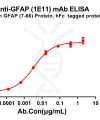 antibody-dme100803 gfap1e11 elisa1