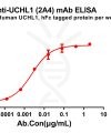 antibody-dme100843 uchl12a4 elisa1