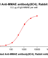 antibody-dme101004b mmae elisa1