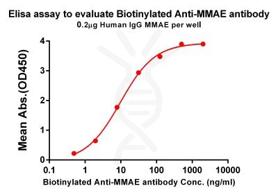 antibody-dme101006b mmae elisa1