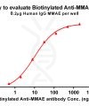 antibody-dme101007b mmae elisa1