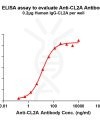 antibody-dme101022 cl2a elisa1