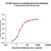 antibody-dme101024 dxd elisa1