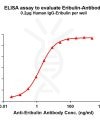antibody-dme101047 eribulin elisa1