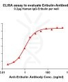 antibody-dme101050 eribulin elisa1