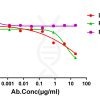 antibody-dme101124 feline il31 elisa1