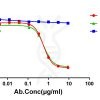 antibody-dme101126 canine il31 elisa1