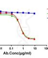 antibody-dme101126 canine il31 elisa1