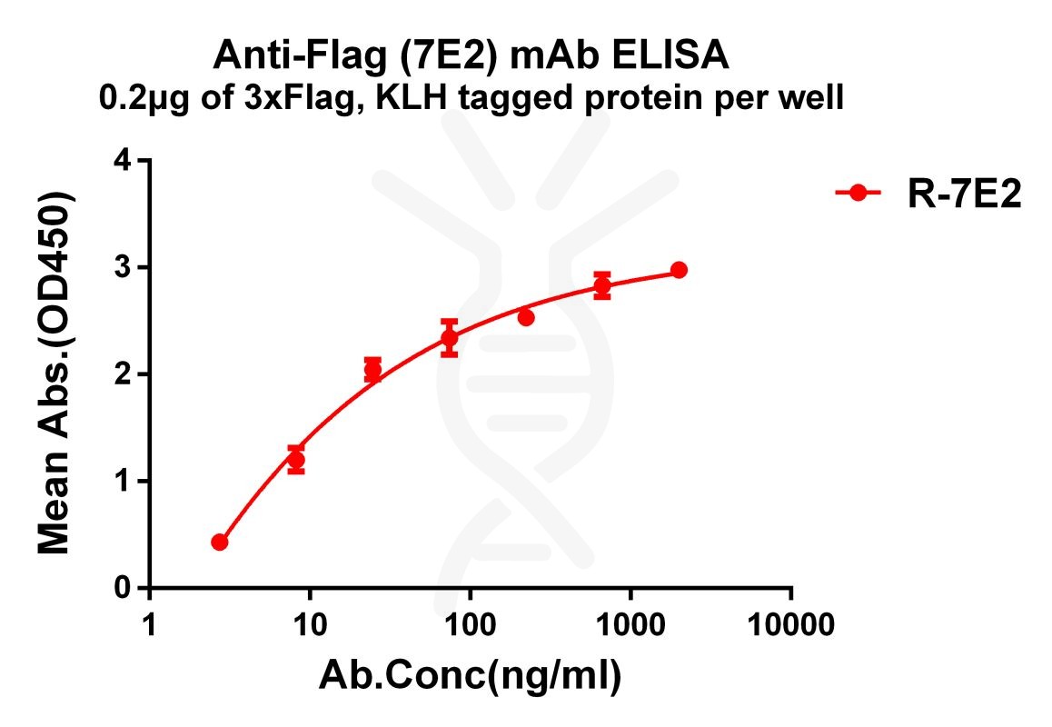 Buy Anti-Flag antibody(7E2), Rabbit mAb-High-quality Flag Antibody for ...