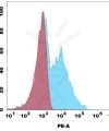 antibody-dme101144p g4s fc1