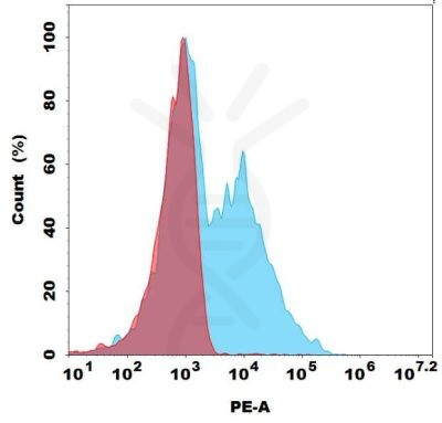 antibody-dme101144p g4s fc1