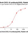 antibody-dme101182b cxcl10 elisa1