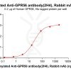 antibody-dme101183b gpr56 elisa1