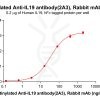 antibody-dme101184b il19 elisa1