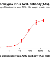 antibody-dme101187b a29l elisa1